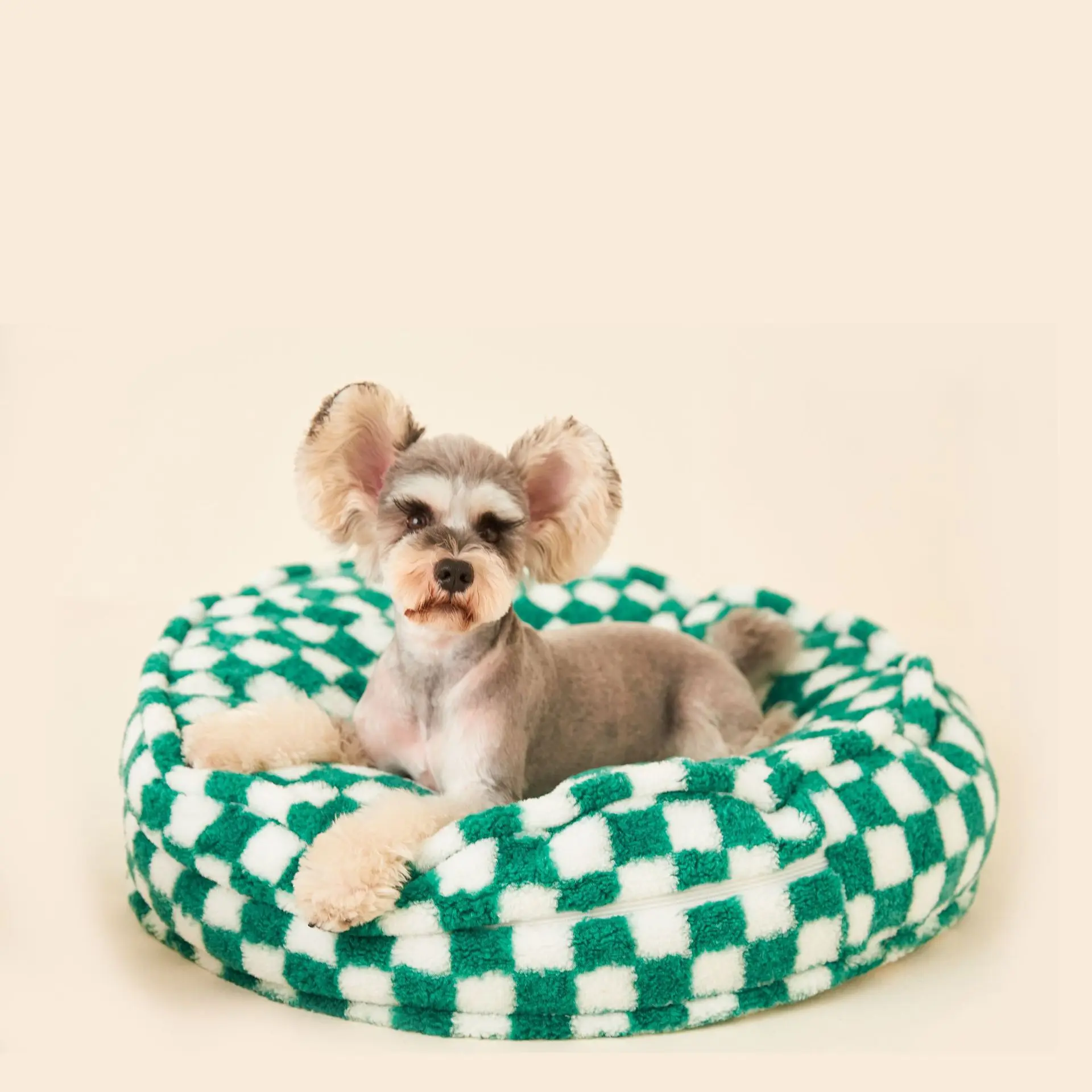 Lulu's Orthopedic Dog Bed - Green