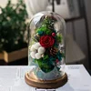 Diameter=25cm Height=25cm 30cm 35cm 40cm 45cm Glass Dome Home Decoration Different Base Transparent Cover Birthday Favor Gift 5