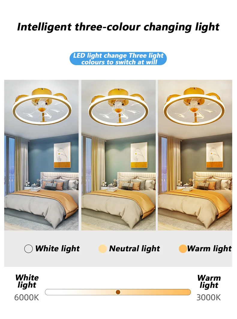 Description Picture 4 of itemModern Hot Ceiling Fan Lamp with Remote Control Pure Copper Motor Intelligent Timing Mute Infinitely Dimmable LED Light