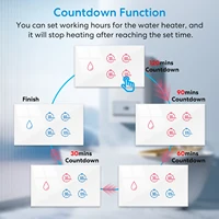 Tuya Smart Life 20A Boiler Water Heater Switch Touch Panel Control Timer Countdown Energy Monitoring Work with Google Home Alexa 5