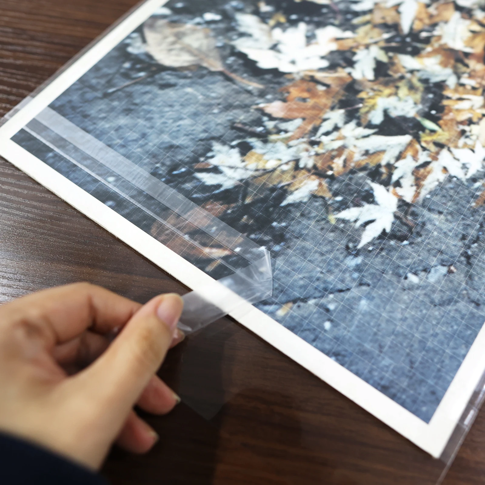 1411007_5