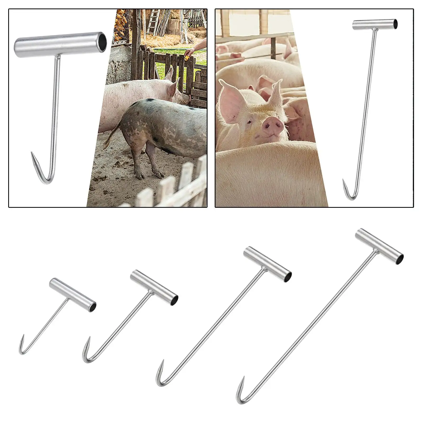 Slide image 8d0614ed09844f4cb7e338a7ad502701