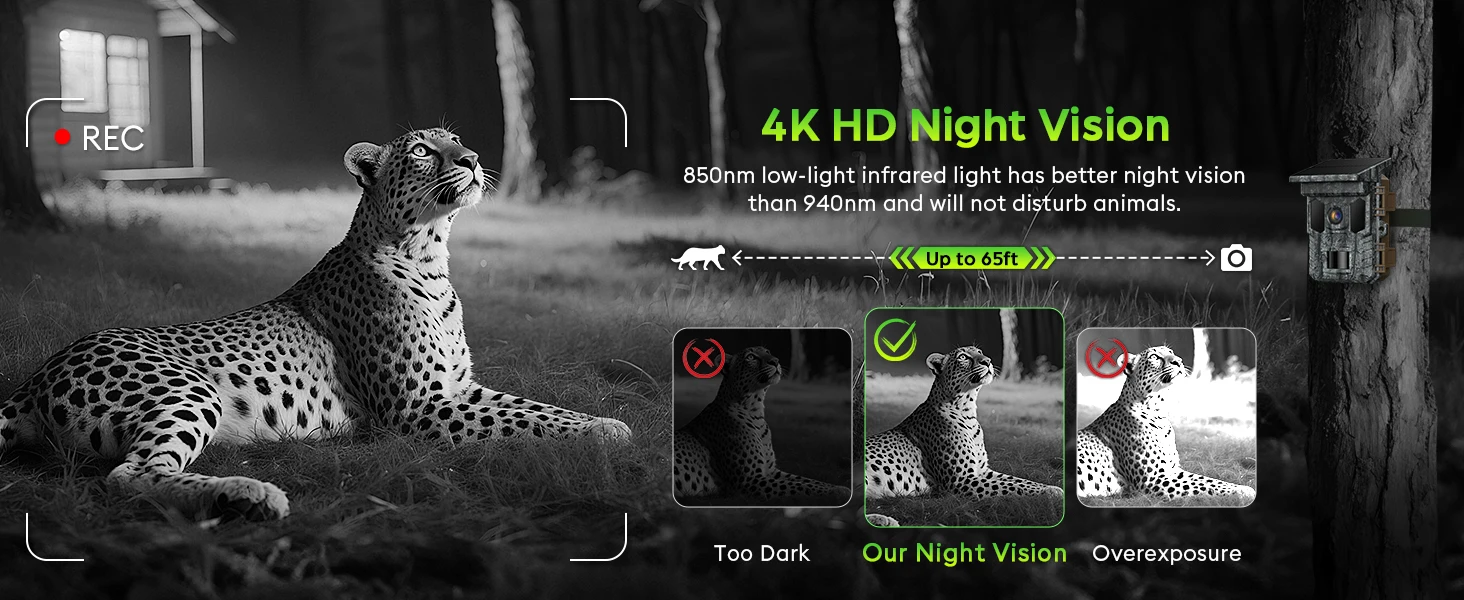 trail camera