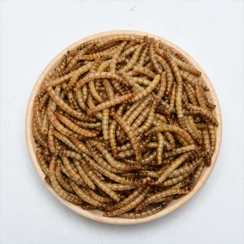 Verme di farina essiccati per alimenti per pesci 100% puro naturale all'ingrosso Nirds Pesce Cibo per piccoli animali domestici