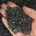 Shungite