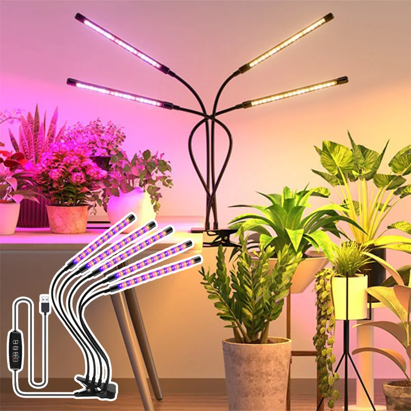 Slide image 9df6f100aeb64fed8b8a9054ce5fa69b