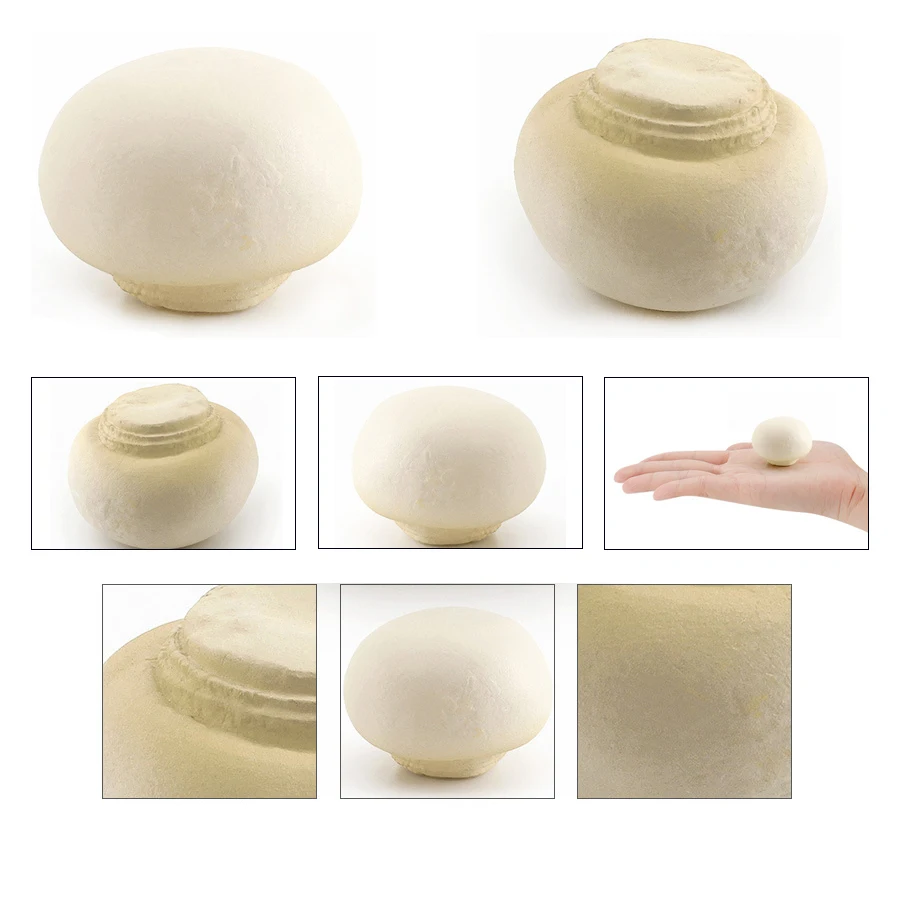Realistische Gemüsemodellfiguren Kohl, Karotte, Zwiebel, Spinat, Mais, Butterbur, Sojabohnen, pädagogisches kognitives Lernspielzeug – Detail 22