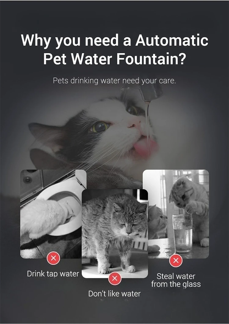 Cat water fountain product detail