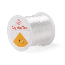Elastic Cord for Jewelry Making - Transparent Thread for DIY Bracelets and Necklaces (1.0MMx100M)