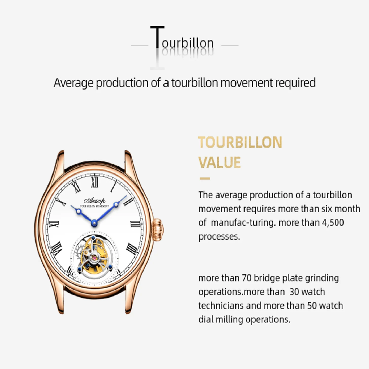 Рисунок 5 - AESOP летающие турбийон