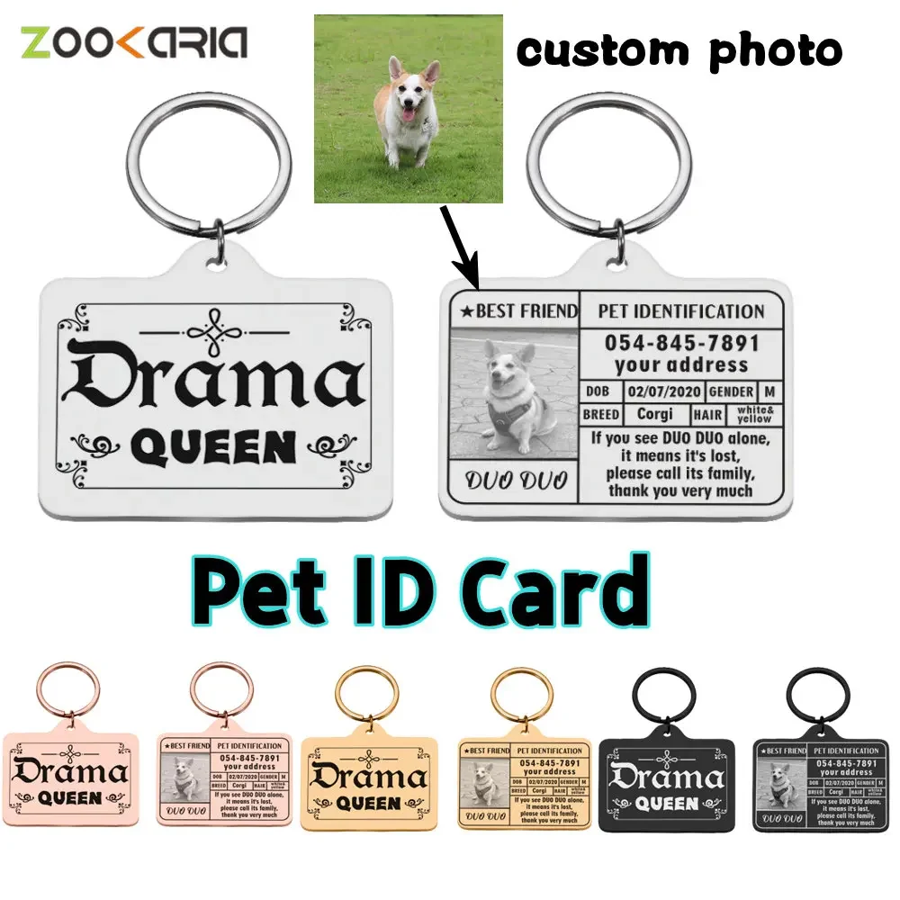 

Free Engraving Pet ID Card Personalized Dog Cat Identity Tag Stainless Steel Custom Name Photo Collar for Dog Cat Accessories