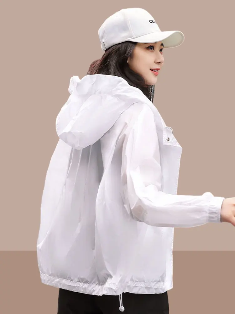    Ÿ  ⼺ ª  ¾ ȣ Ƿ  ѿ  ī ÷ 