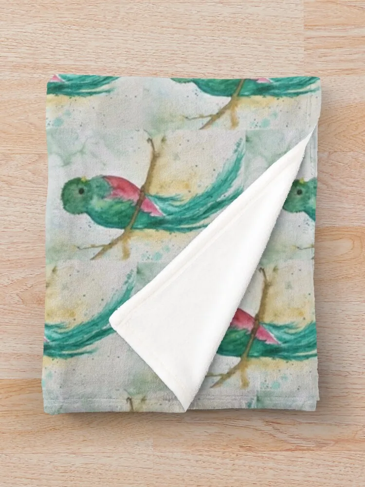 Quetzal ������ ���, ���Ÿ� ���� ���� �ִϸ��̼� ���