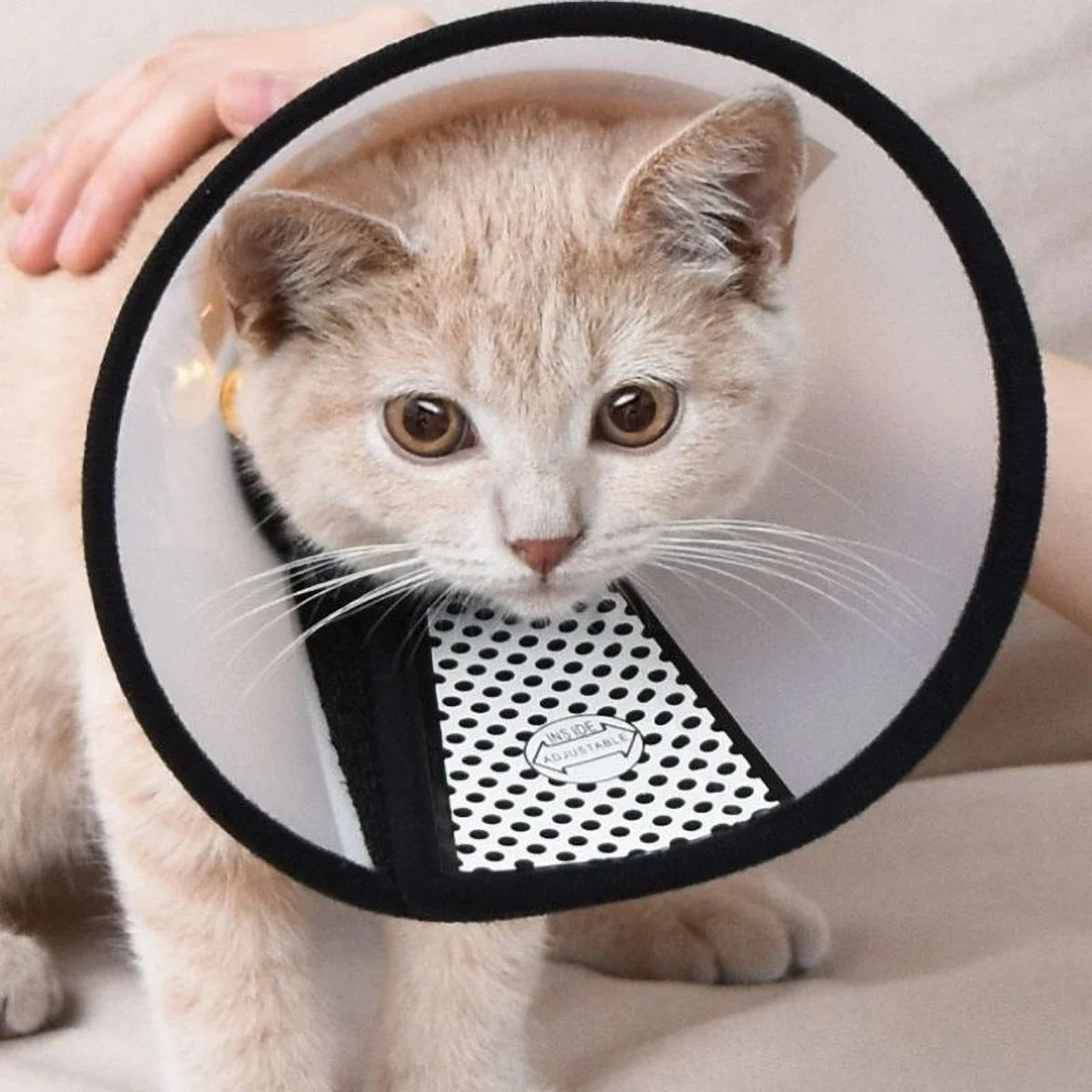 Soft PP Pet Collar, Harmless & Non-Toxic, Adjustable Length, Post-Surgery Protection for Dogs/Cats