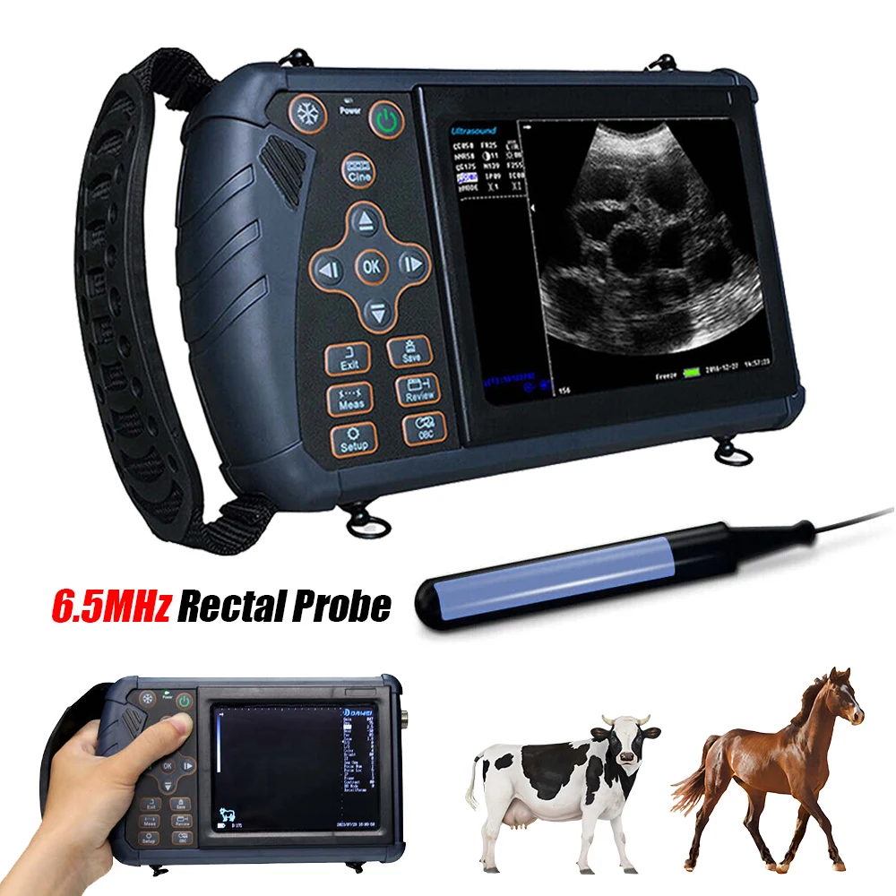 

Portable Veterinary Ultrasound Machine Handheld Vet Pregnancy B-Ultra Scanner with 6.5MHz Rectal Probe for Horse Cattle Camel