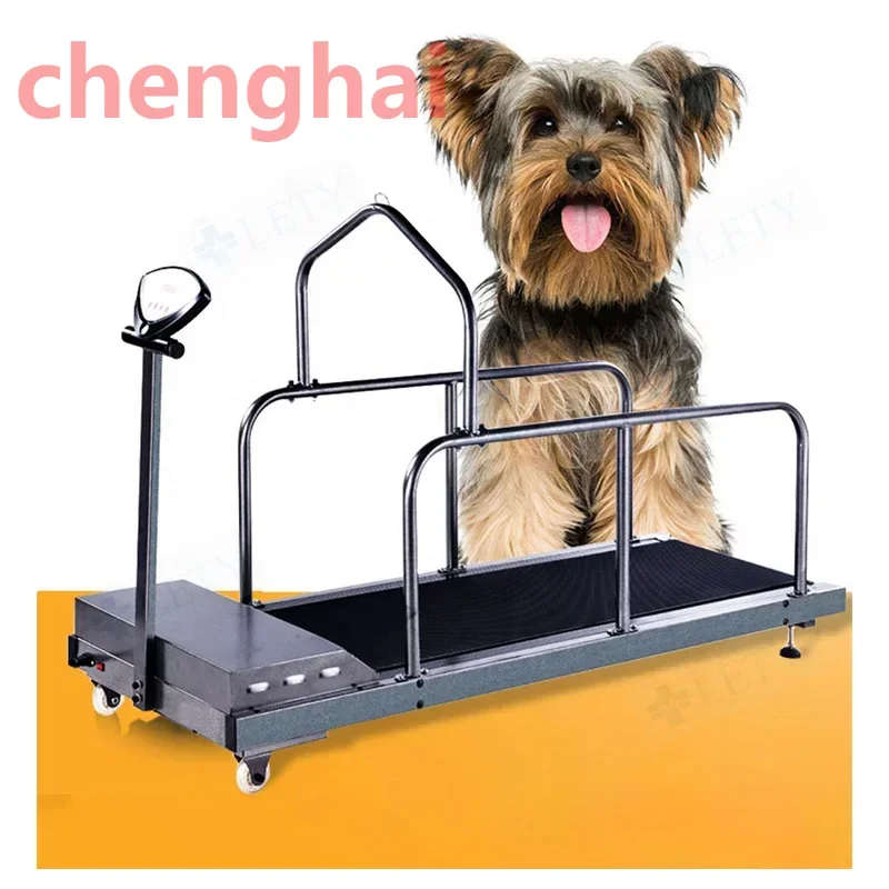 PetTreadmillElectricDogTreadmillDogtrainingtreadmillforhomeuserecoverycenter.jpg
