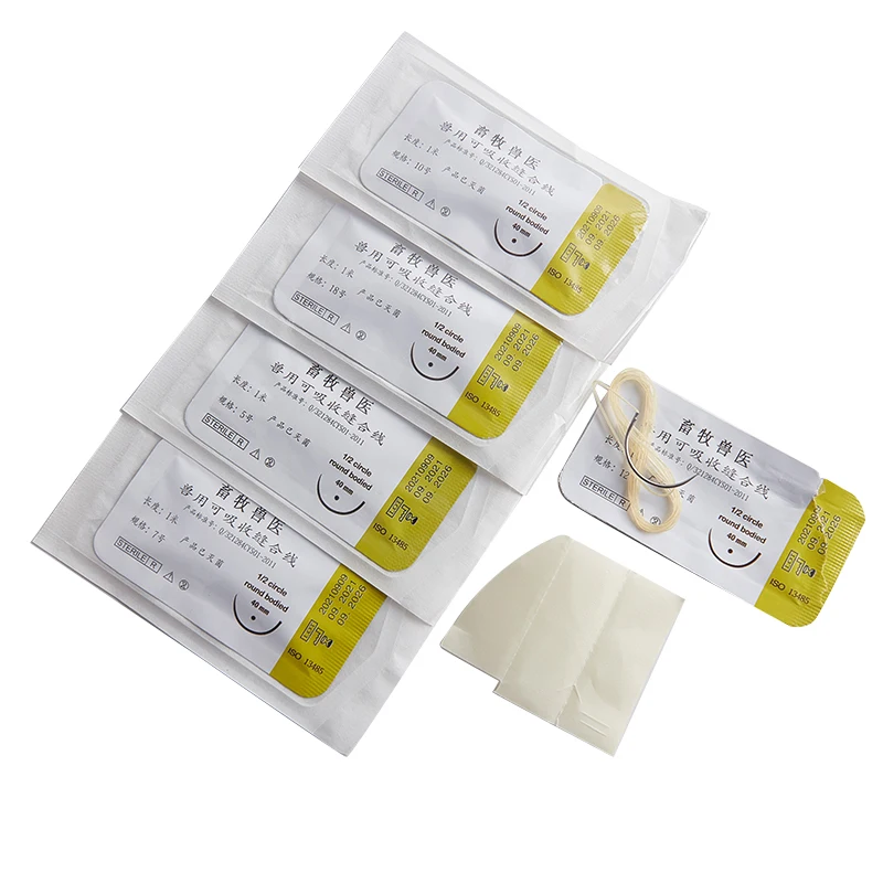 Absorbable Suture Thread Medical Needle Suture Nylon Monofilament Surgical Kit