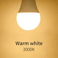 Warm White
