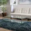 Noble House Roman Glass Coffee Table with Shelf  Clear glass and aluminum leg frames Stylish and modern 5