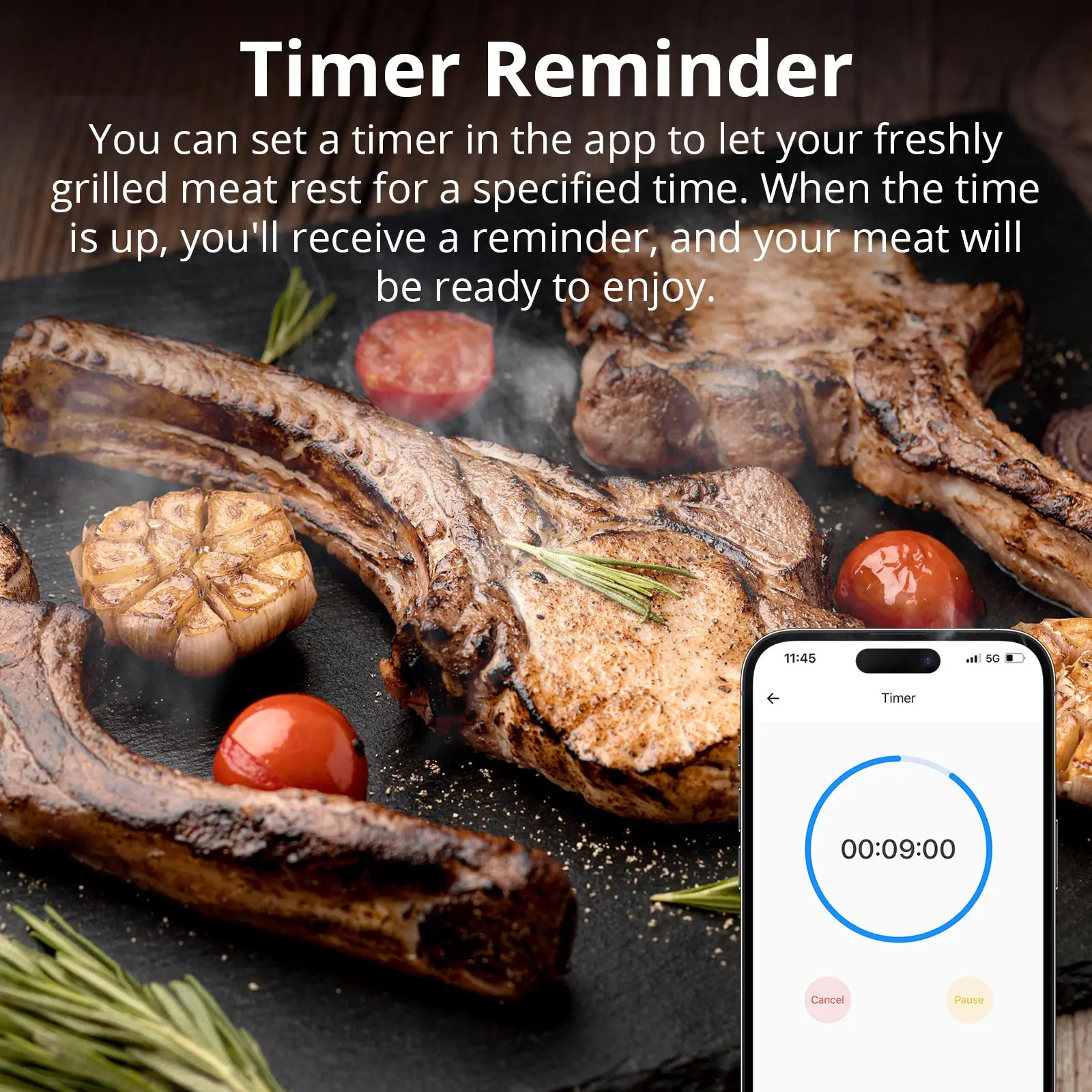 SONOFF BMT01 BBQ Meat Thermometer Wireless Smart Grilling Tool Cooking Temperature Alerts Timer Reminder Temp Chart eWeLink APP Smart Thermometer
