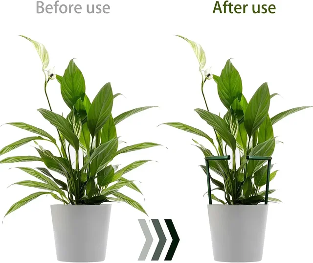 2/6Pcs Plant Support Pile Stand Semicircle Frame Fixed Rod Holder Gardening Arrangement Flower Vine Climbing Bracket Bonsai Tool 4