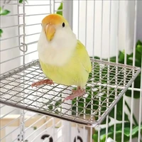 1pc Versatile Stainless Steel Parrot Perch Toy Durable & Washable Bird Resting Stand Platform for Pet Bird Parrot Cages Supplies 2