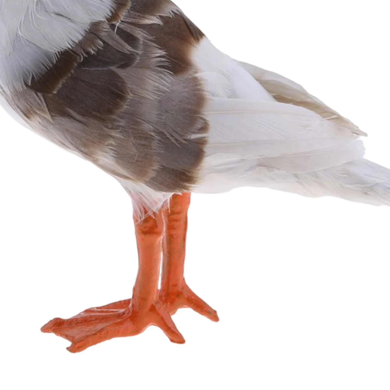 Realistic Seagull Bird Simulation Feather Bird Artificial Animal Figurine for Home Garden Lawn Decoration Photo Props, garden decoration, animal ornaments, artificial feather bird decoration