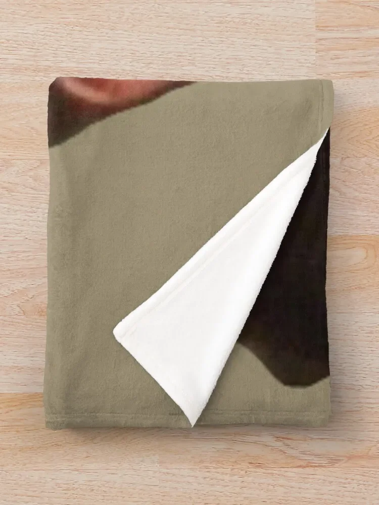 Jeonghan �ö��� ��� ���ο� ���, ���� �� üũ ���� ħ��, �ε巯�� ���� ħ�� ���� ���, ����