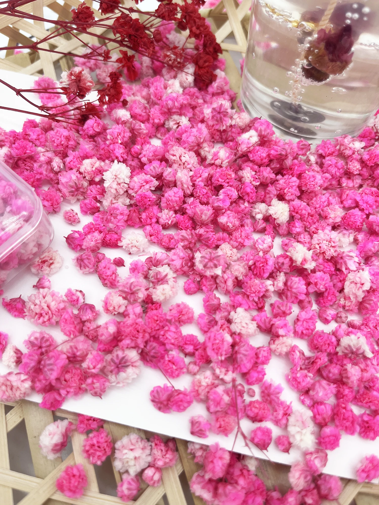 Mini Dried Flowers Set 3