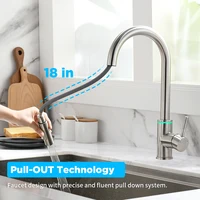 Brushed Nickel Kitchen Faucet Single Hole LED Style Pull Out Spout Kitchen Sink Stream Sprayer Head Black Mixer Tap LED 866006 4