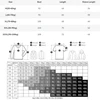 Men Compression Long Sleeve T Shirt Sportswear Male Skinny Tshirt Elastic Track Tracksuit Clothing Gyms Fitness T-shirt For Men 6