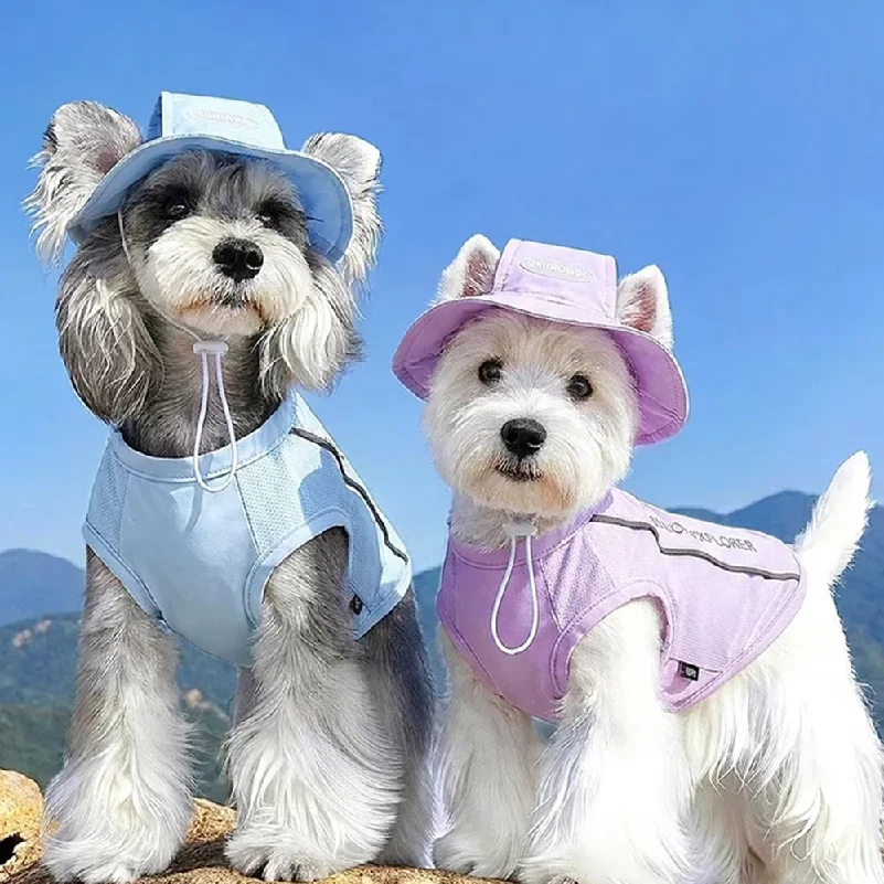 애완견 여름 쿨링 조끼(모자 포함) 통기성 메쉬 자외선 차단 셔츠(강아지&고양이..