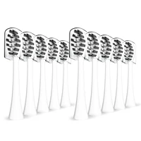 Replacement Toothbrush Heads Compatible with Gleem Electric Toothbrush, W Shape Design Planted with Nylon Bristle Black ,10 Pack 2