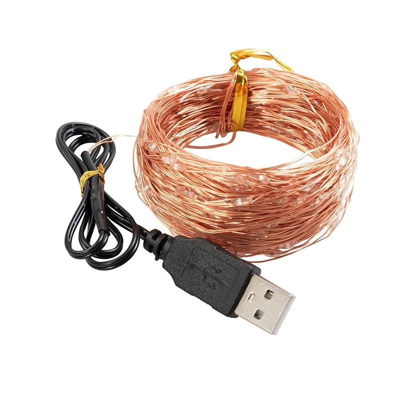 

USB Light String 5m 50 LED Color Decorative Light String Home Garden Decoration Flowers Birthday Cake IP43 Copper Wire Light