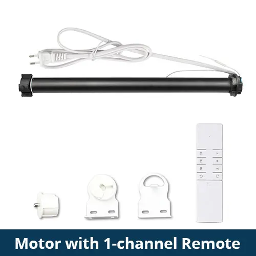 Motor With Remote 1