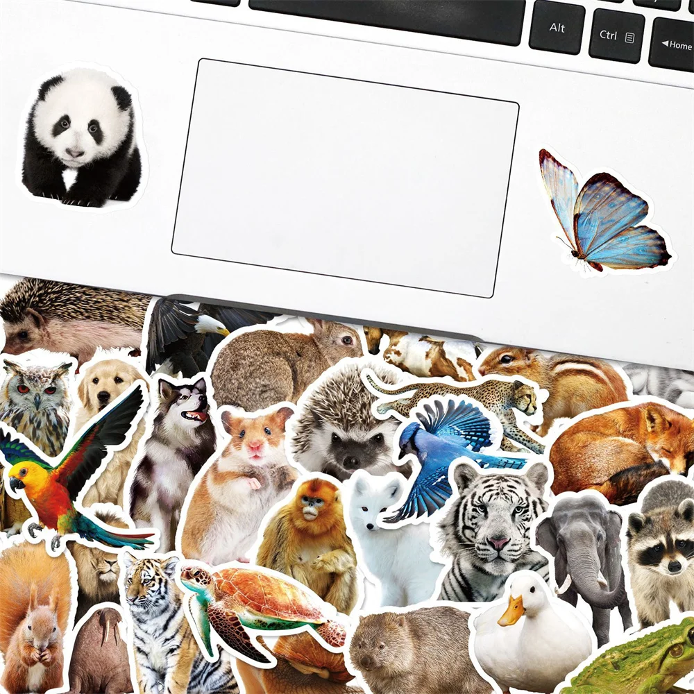 Zoo Animals Stickers Pack | Famous Bundle Stickers | Waterproof Bundle  Stickers ₩17,000 Free Delivery