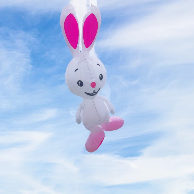 

free shipping rabbit nylon kites pendant professional kites for adults large windsurfing Weifang kite parachute cartoon kite koi