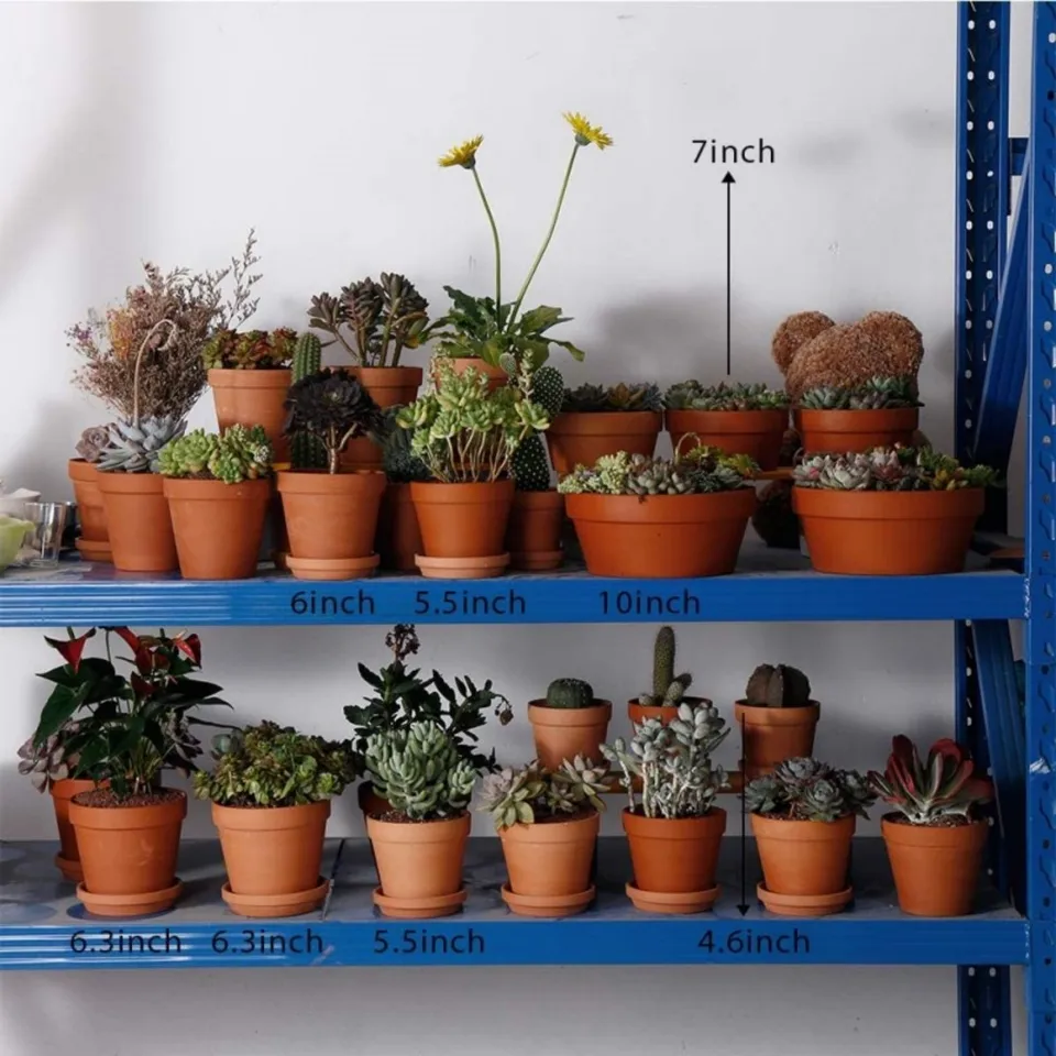 6 Uds Macetas De Terracota Buld 3,5 "x 2,2" Macetas De Arcilla Maceta De Cerámica Con Orificio De Drenaje Cactus Plantas Suculentas Macetas De Vivero - AliExprs 15