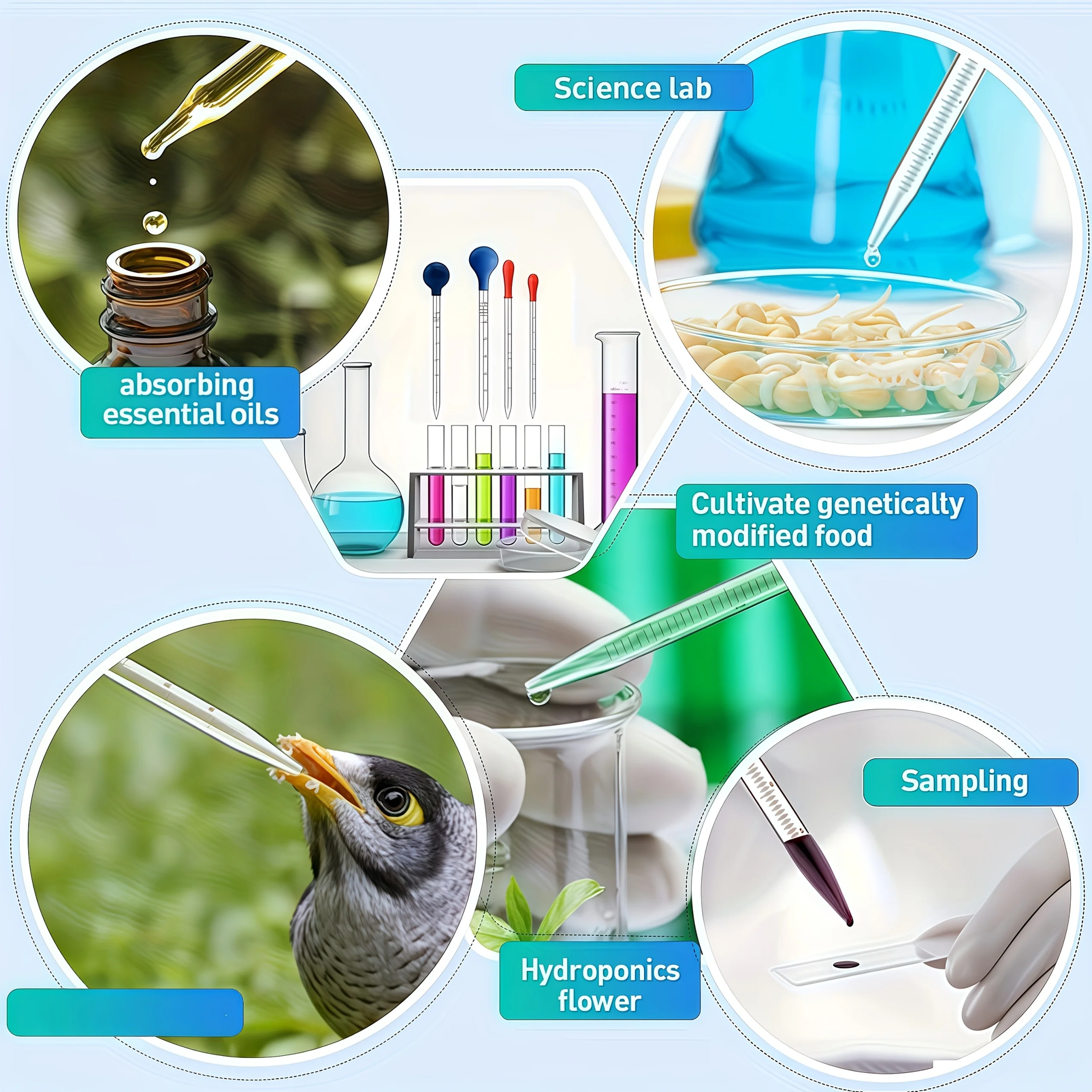 Deluxe Glass Pipette Dropper Set with Stirring Rod and Cleaning Accessories