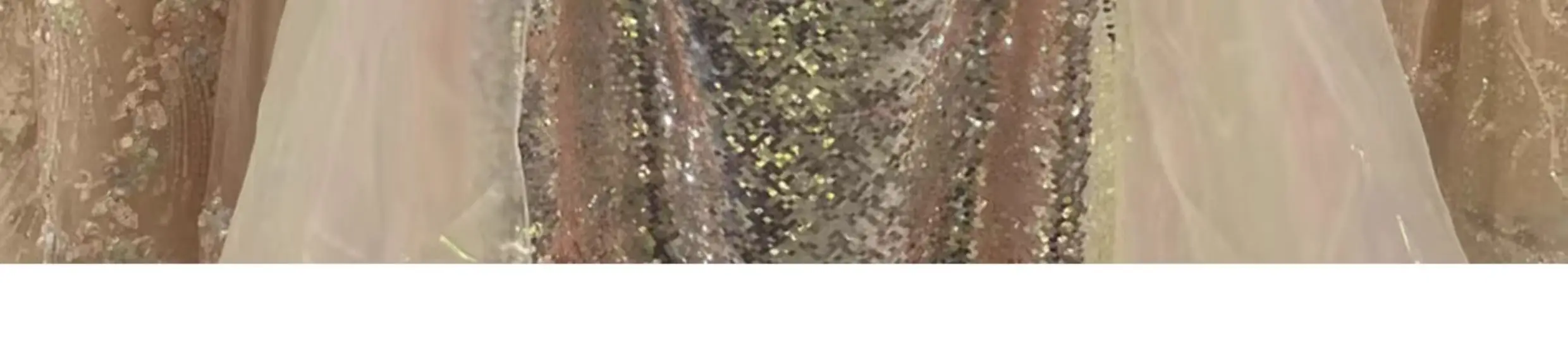 Sequined Light Luxury Toasting Gown Detail