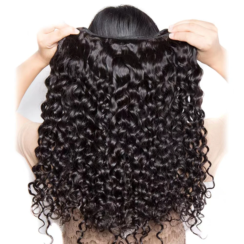 water Wave 4 Bundles Human Hair Brazilian Human Hair Curly Bundles With Closure Virgin Weave Natural Black