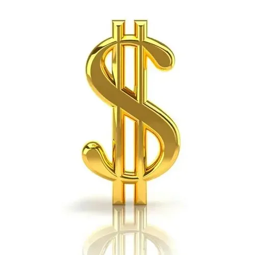 

Payment Link