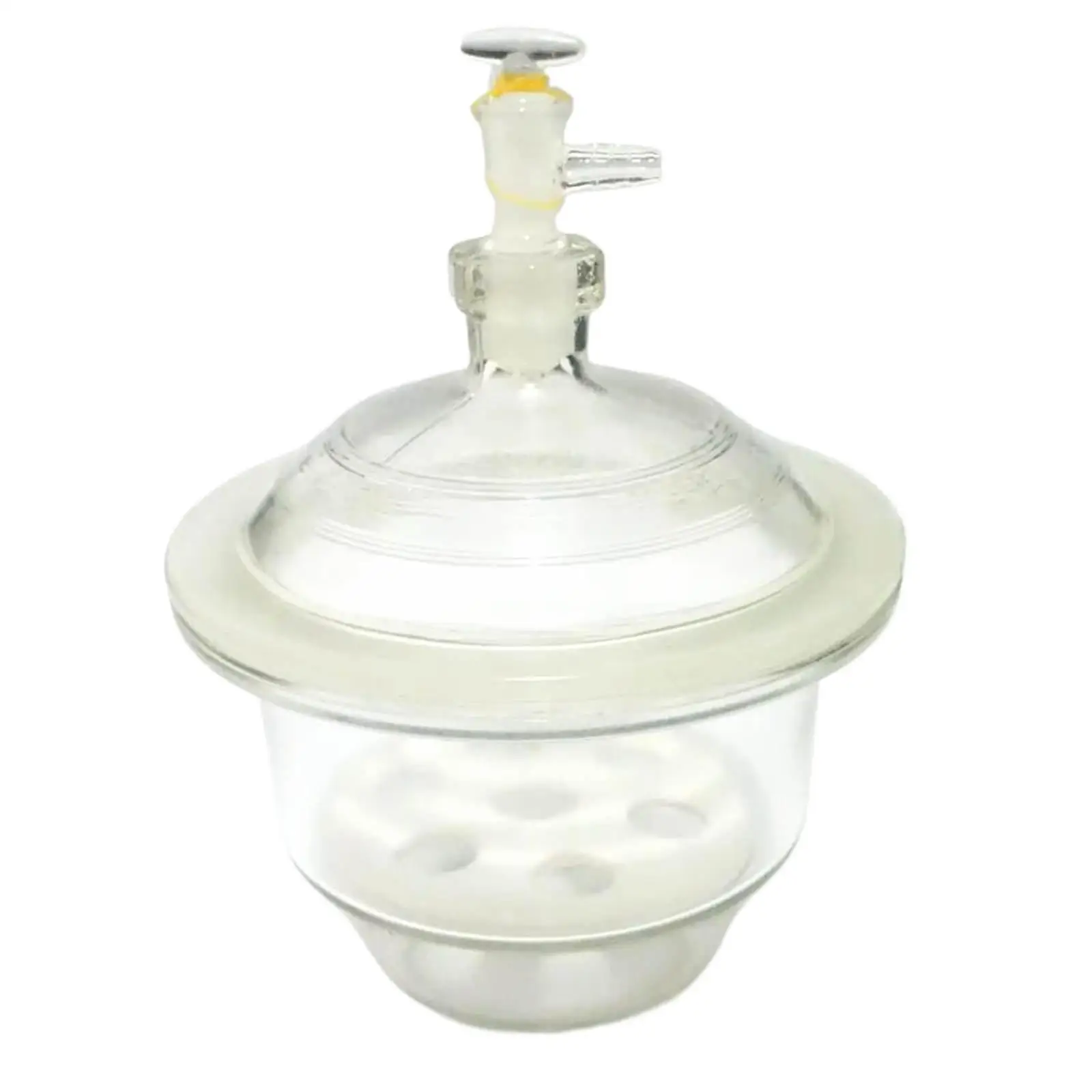 180mm Vacuum White Glass desiccator jar lab dessicator dryer Lab glassware Kit Tools