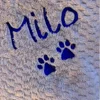 Personalized Embroidery Solid Color Soft Pet Blanket Custom Name Dog Flannel Blanket Pets Gift Blanket Puppy Blanket with Name 4