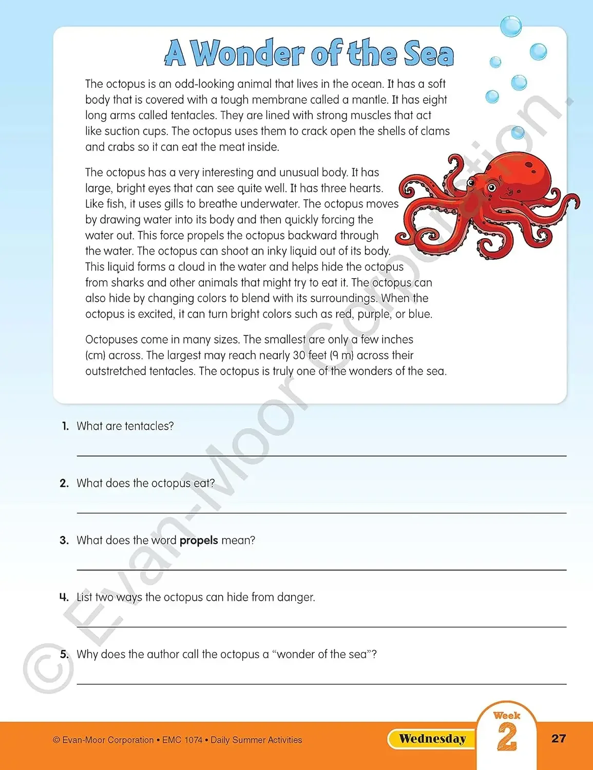 Daily Summer Activities Workbook 5