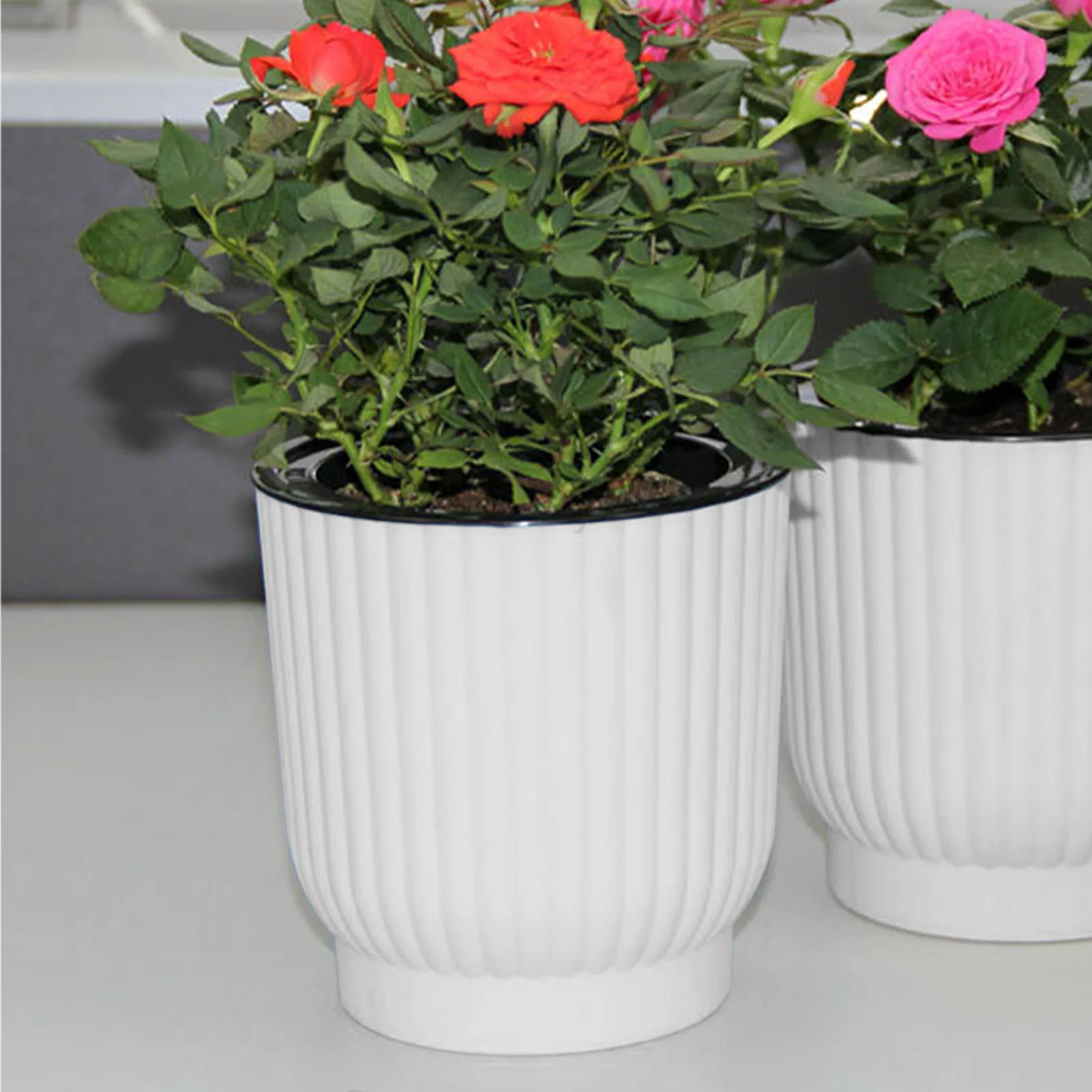 White Round Stylish Water-Saving Desktop Flower Pot - Perfect Gift