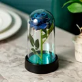 1 blue