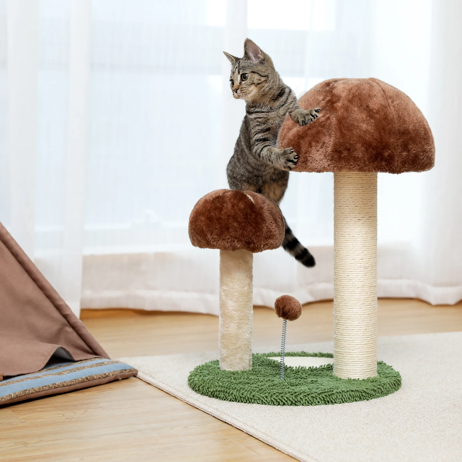 Sb29295ddbe0641bdbc6863ffa56afe55M