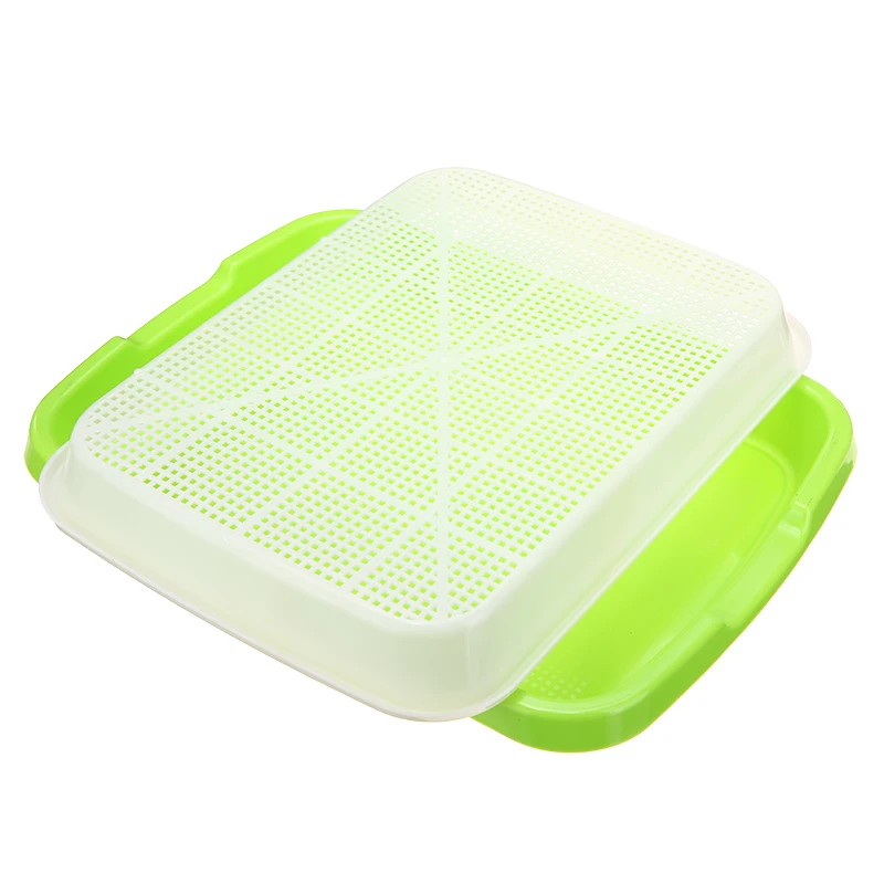 Culture Hydroponique Germes De Soja Cultiver Des Plats Plaque Plante Semis Germination Pépinière