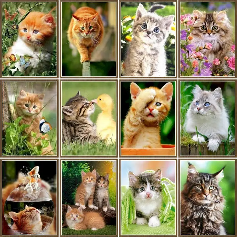 

CHENISTORY Pictures By Number Cute Cat Kits Home Decor Diy Painting By Number Drawing On Canvas Handpainted Art Gift